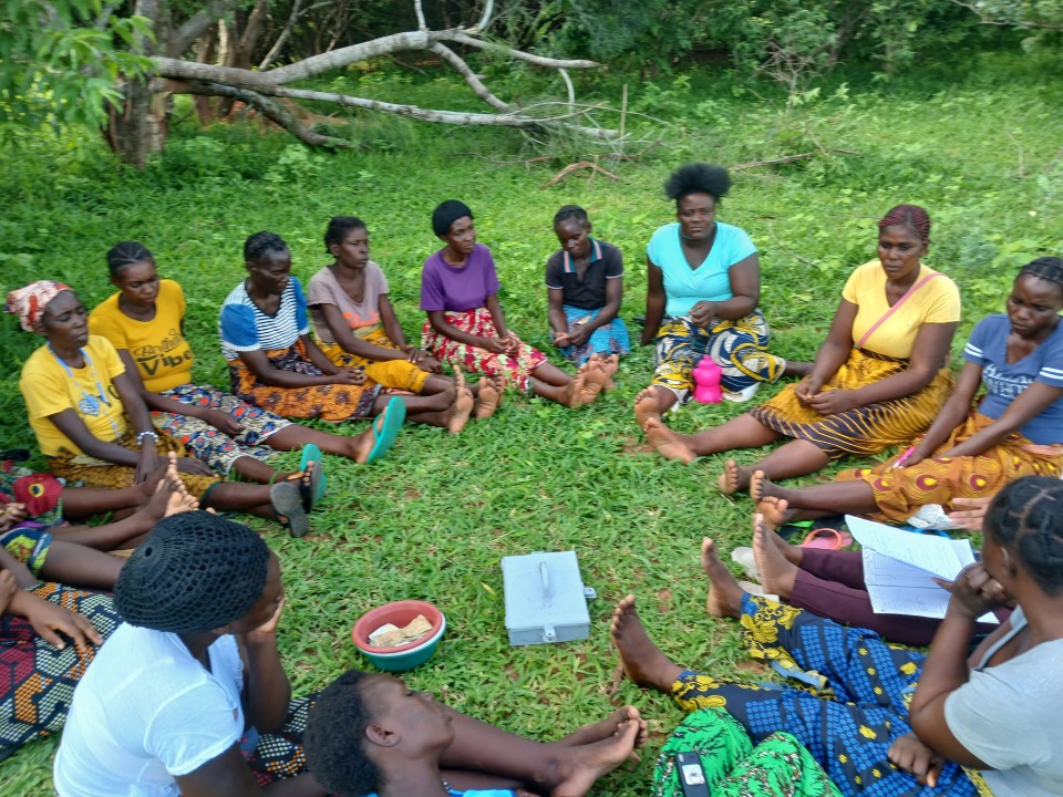 Time to Change the Game: From Village Banks to Investment Groups