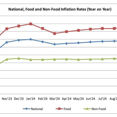 Malawi inflation drops to 32.4%, first decline since March 2024               