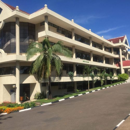 MPICO Gains Momentum: Stock Climbs 2.54% as Earnings Outlook Impresses
