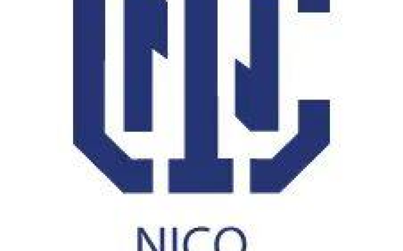 Nico holdings logo