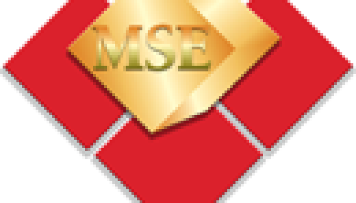 Malawi Stock Exchange Posts Strong 2024 Performance Amid African Market Resilience
