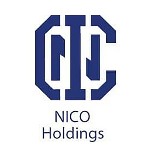 NICO Holdings Plc Revises Profit Projections Upwards for 2024
