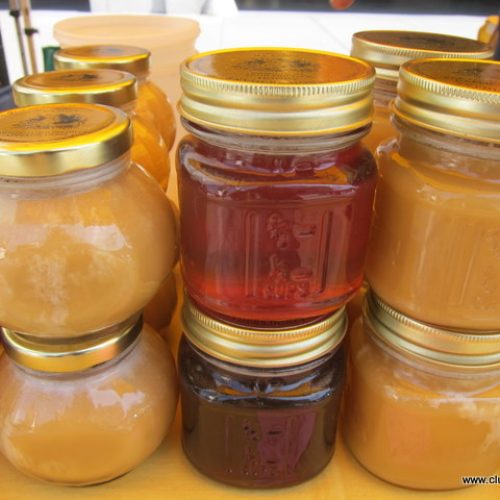 Did You Know Honey Could Be Malawi’s Next Big Export?