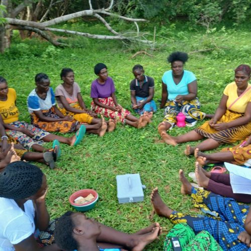 Time to Change the Game: From Village Banks to Investment Groups
